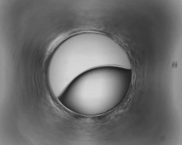 X0000111010197200906191215