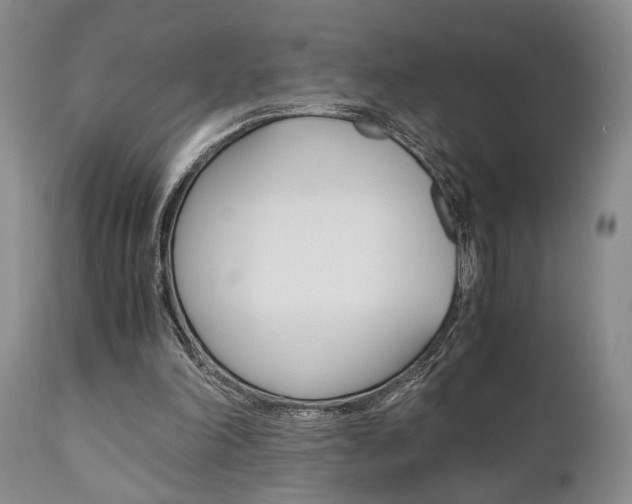 X0000111010198200906191215