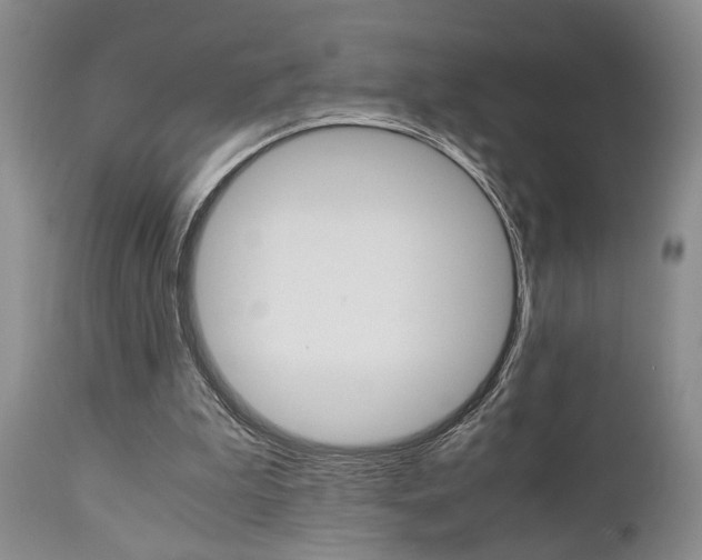 X0000111010199200906191215