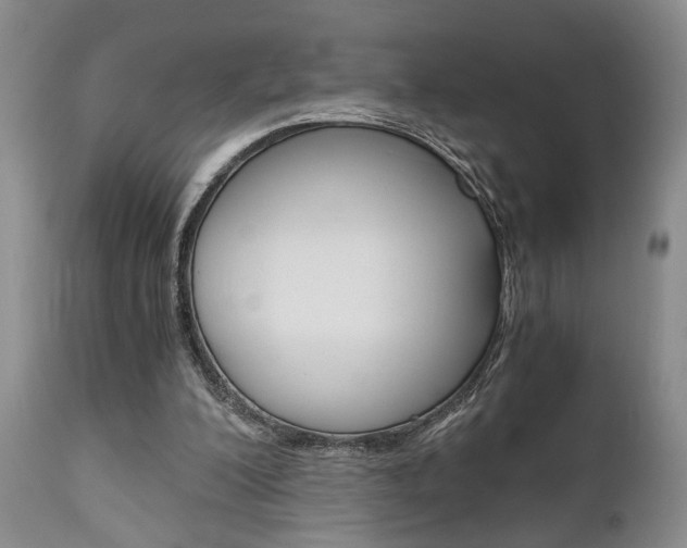 X0000111010200200906191215