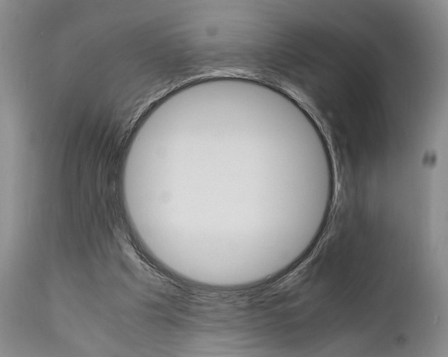X0000111010201200906191215