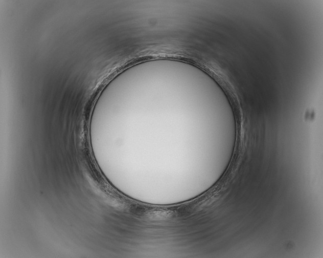 X0000111010202200906191215