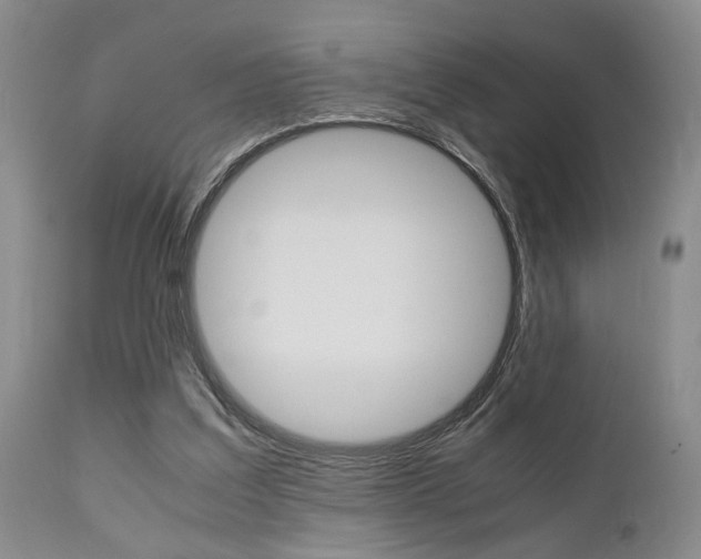 X0000111010203200906191215