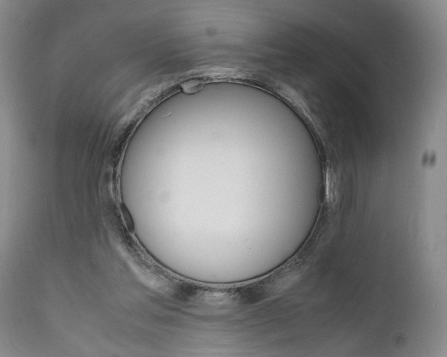 X0000111010205200906191215