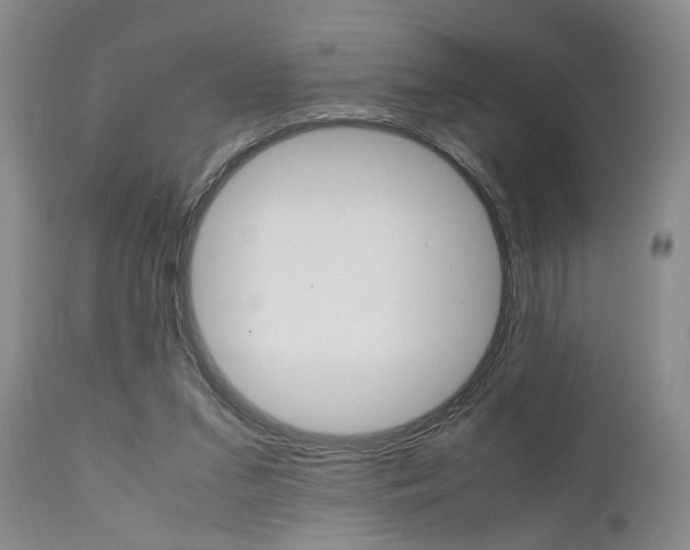 X0000111010207200906191215