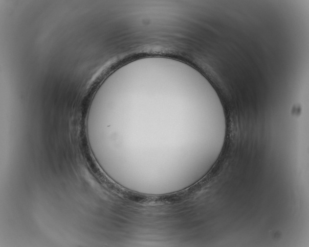 X0000111010208200906191215