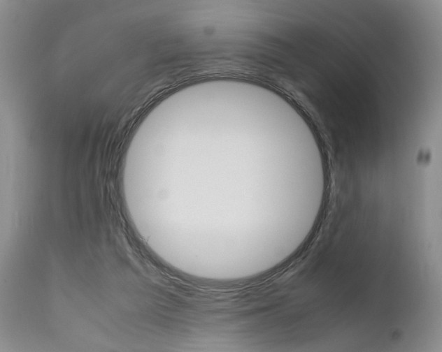 X0000111010209200906191215