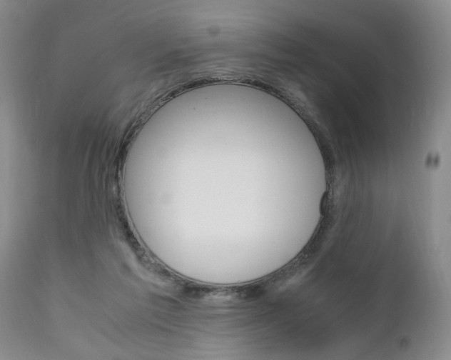 X0000111010213200906191215