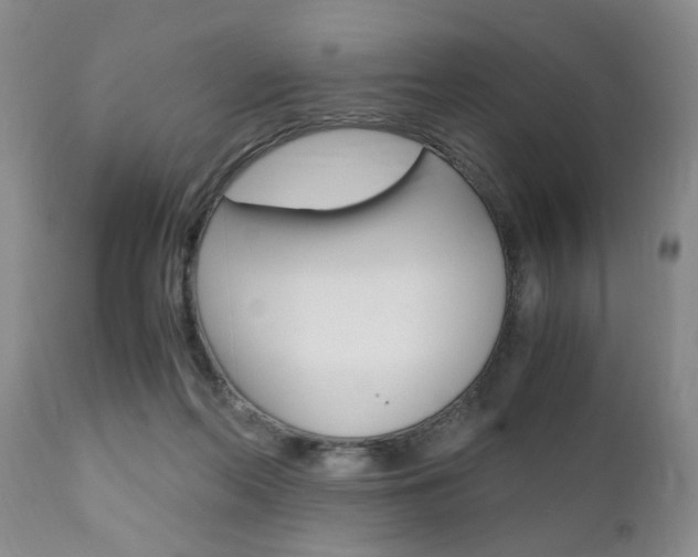 X0000111010214200906191215