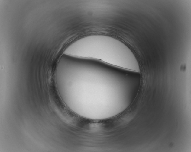 X0000111010216200906191215