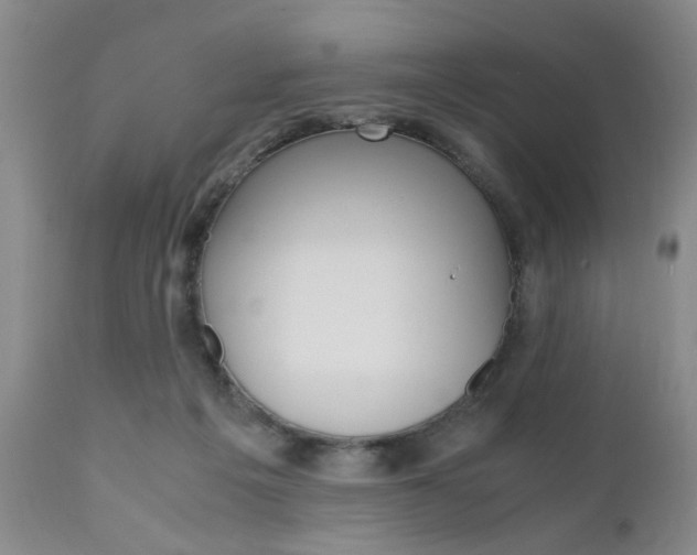 X0000111010217200906191215