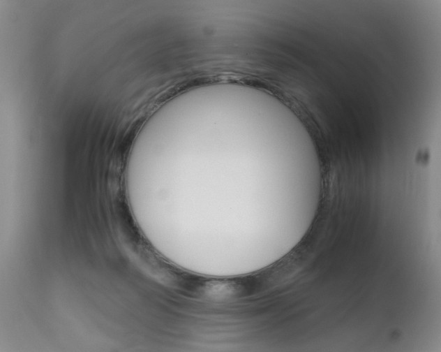 X0000111010218200906191215