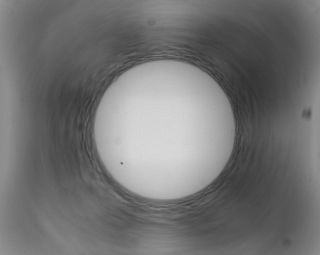 X0000111010223200906191215
