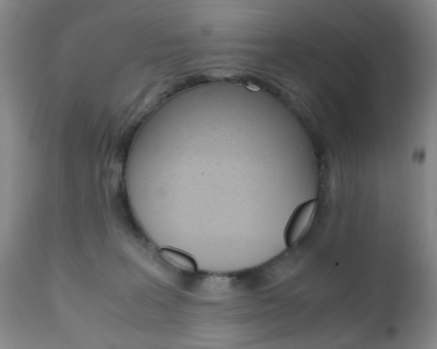 X0000111010227200906191214