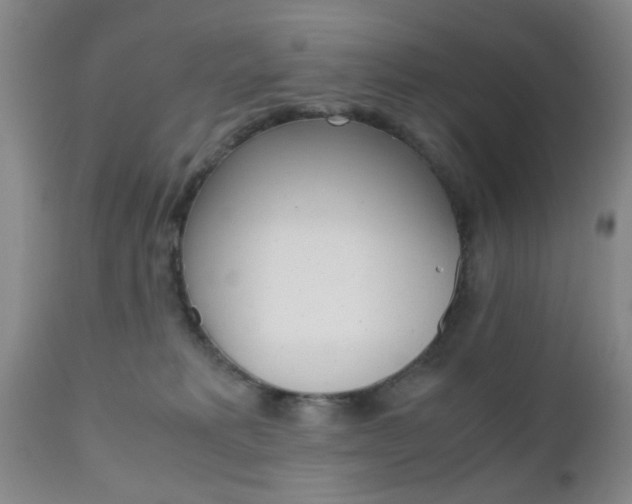 X0000111010229200906191214