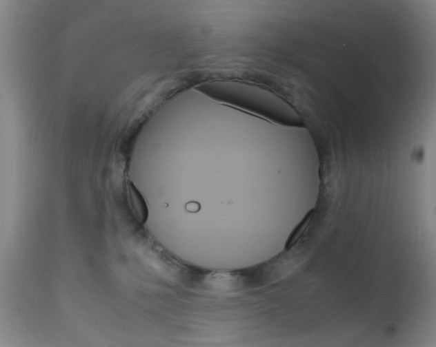 X0000111010231200906191214