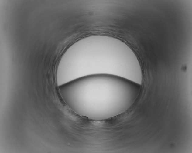 X0000111010233200906191214
