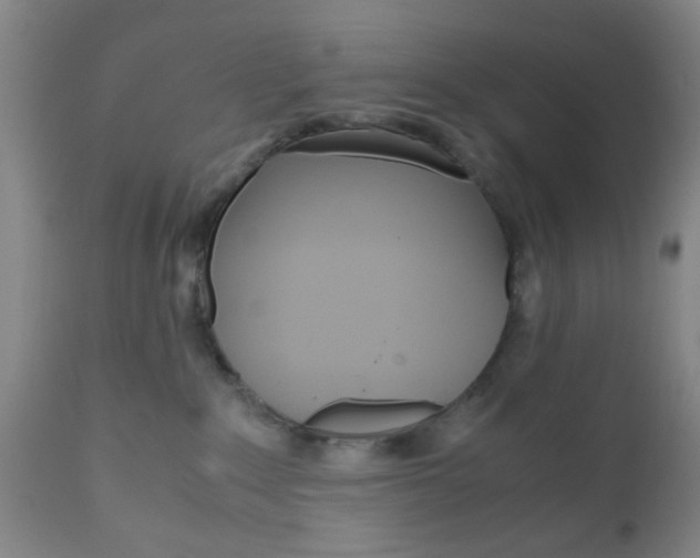 X0000111010235200906191214