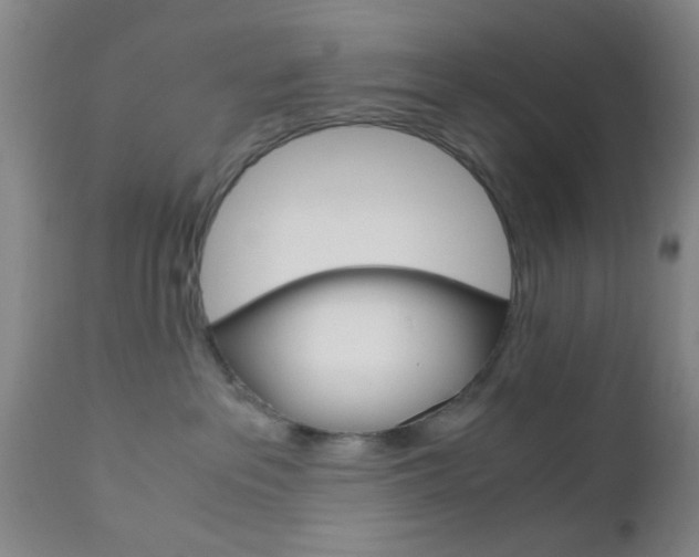 X0000111010237200906191214