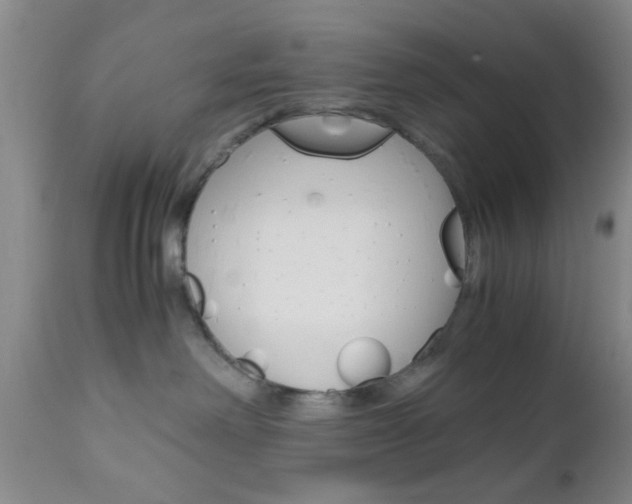 X0000111010238200906191214