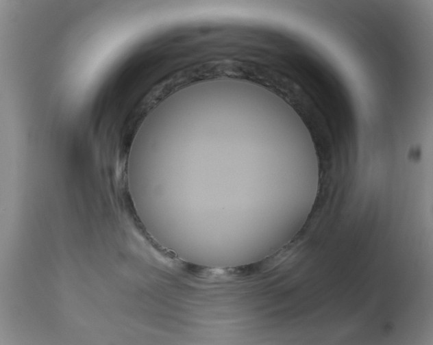 X0000111010239200906191214