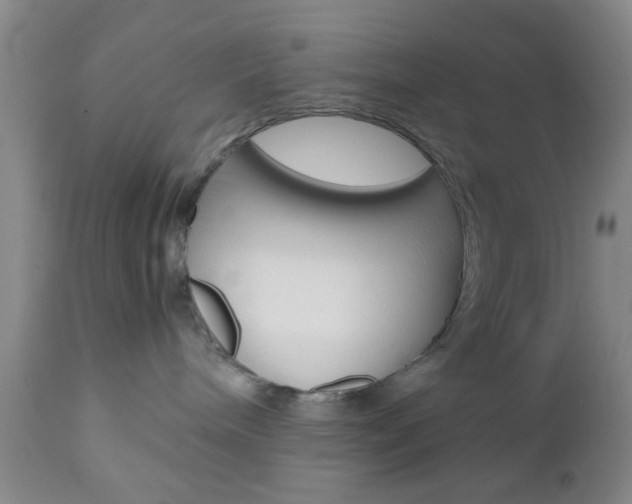 X0000111010240200906191214