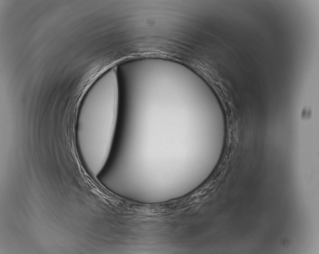 X0000111010241200906191214