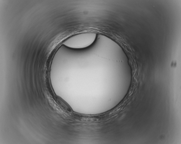 X0000111010242200906191214