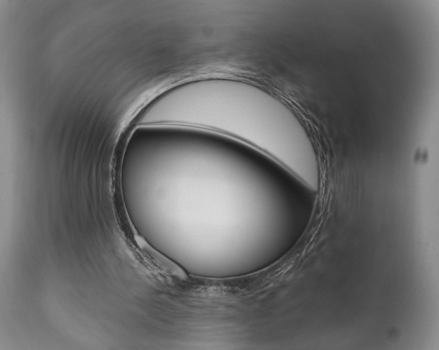 X0000111010244200906191214