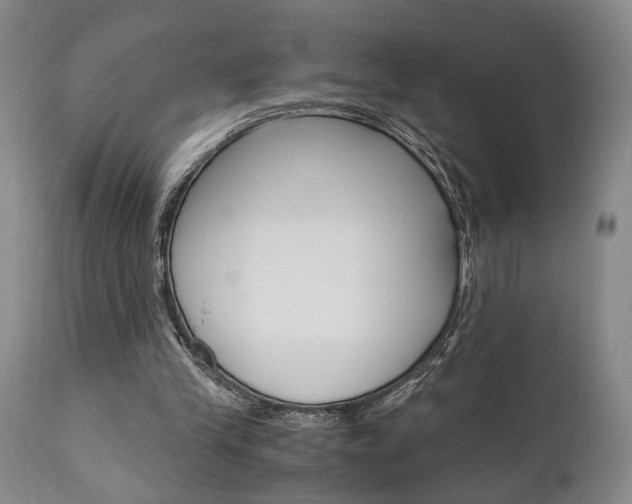 X0000111010245200906191214