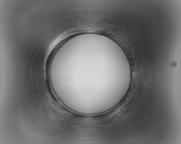 X0000111010246200906191214