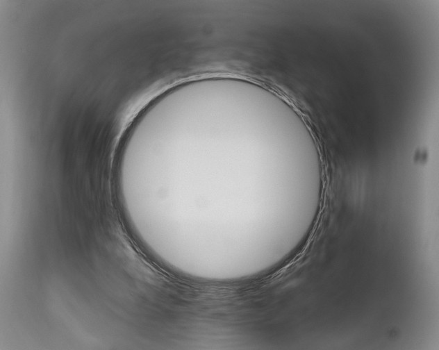 X0000111010248200906191214