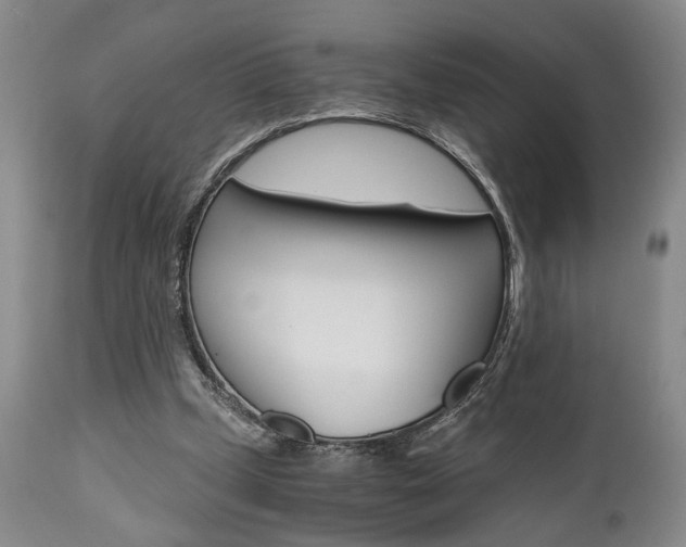 X0000111010249200906191214