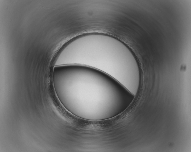 X0000111010252200906191214