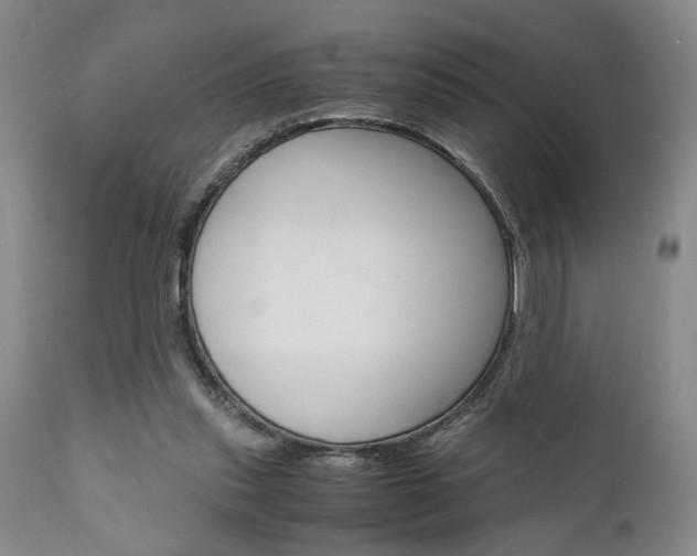 X0000111010253200906191214