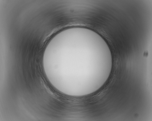 X0000111010256200906191214