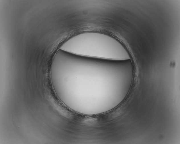 X0000111010257200906191214