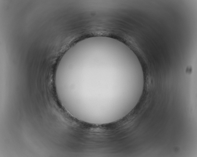 X0000111010259200906191214