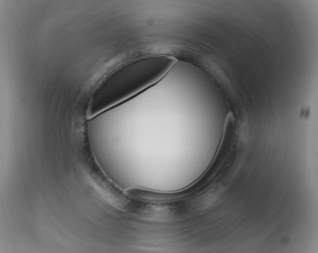 X0000111010260200906191214