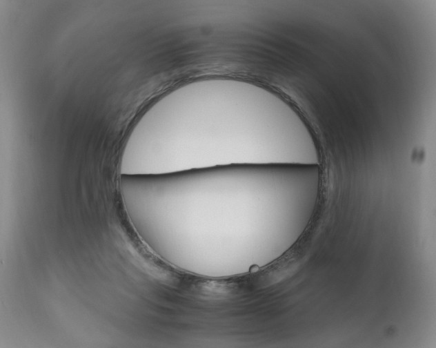 X0000111010261200906191214