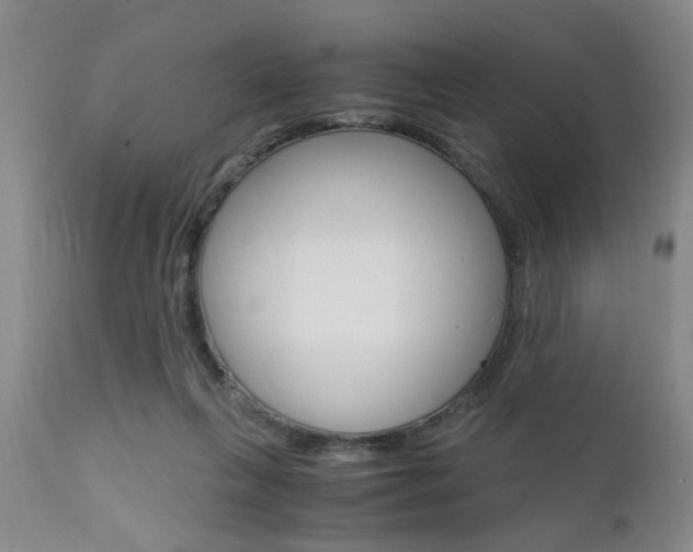 X0000111010263200906191214