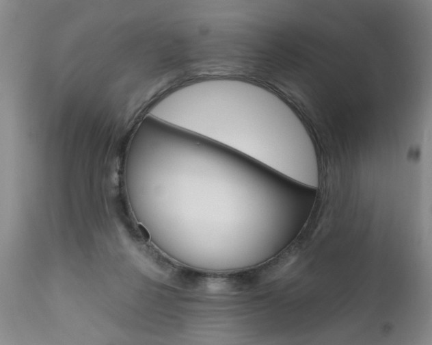 X0000111010264200906191214