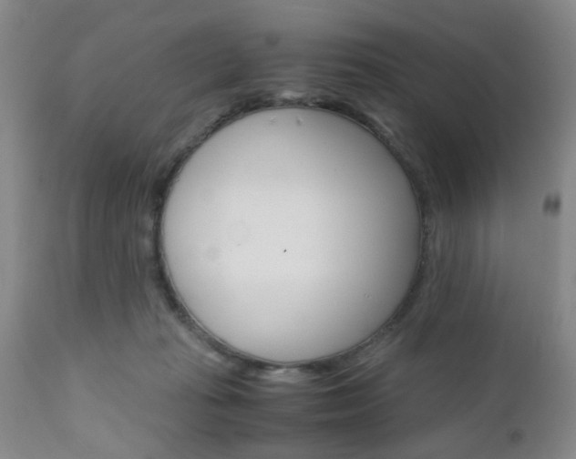 X0000111010269200906191214