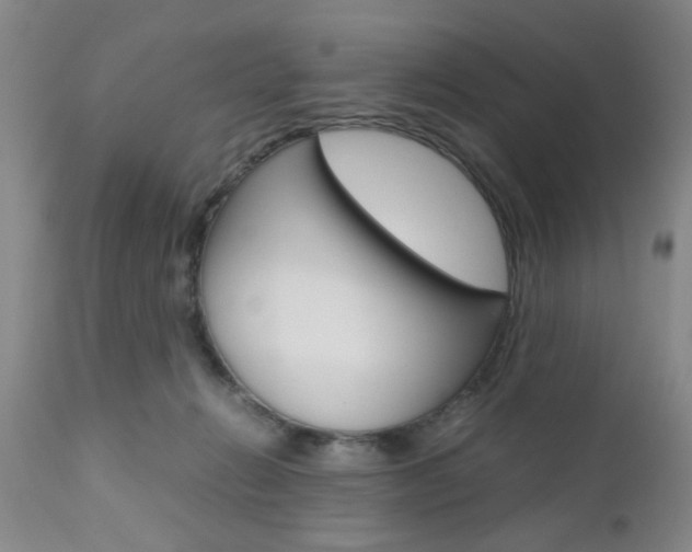 X0000111010270200906191214