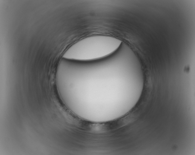 X0000111010273200906191214
