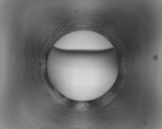 X0000111010274200906191214