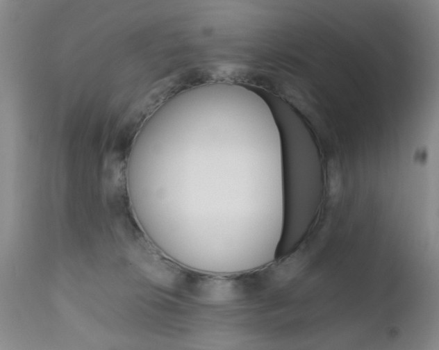X0000111010276200906191214