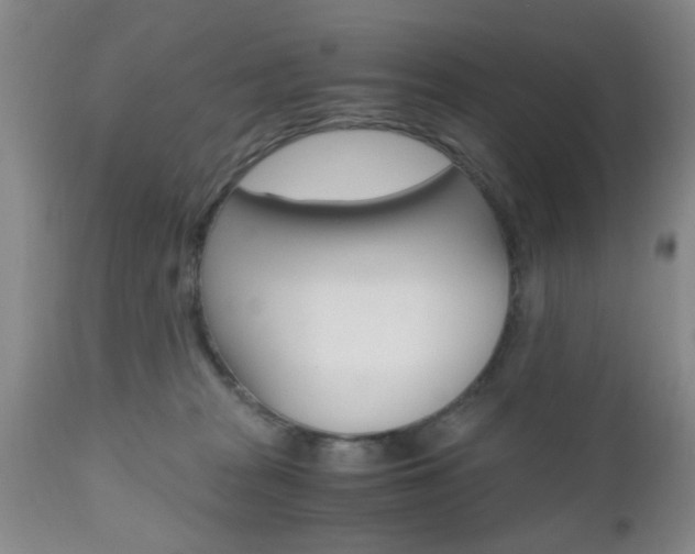 X0000111010277200906191214