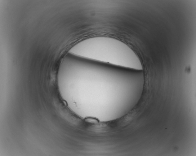 X0000111010278200906191214
