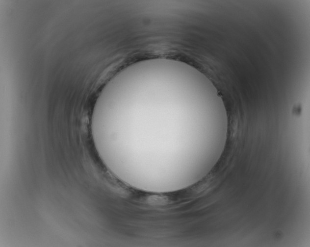 X0000111010279200906191214